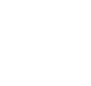 ICON - Texas@2x