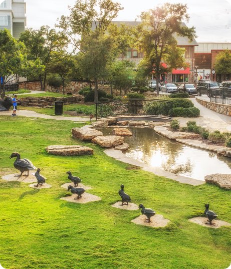 IMAGE - Watters Creek Ducks@2x